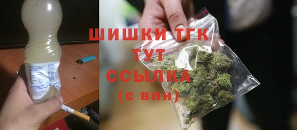 ПСИЛОЦИБИНОВЫЕ ГРИБЫ Магас