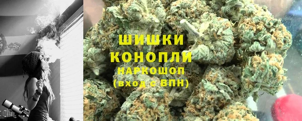 ПСИЛОЦИБИНОВЫЕ ГРИБЫ Магас