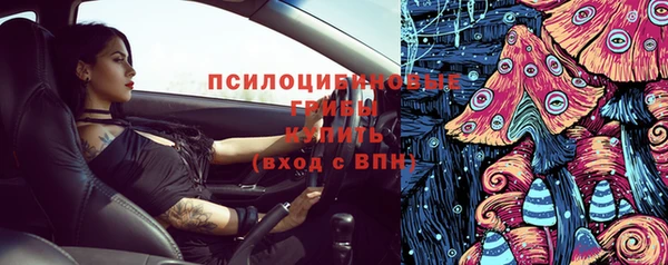 ПСИЛОЦИБИНОВЫЕ ГРИБЫ Магас