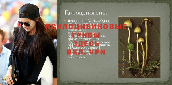ПСИЛОЦИБИНОВЫЕ ГРИБЫ Магас